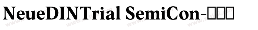 NeueDINTrial SemiCon字体转换